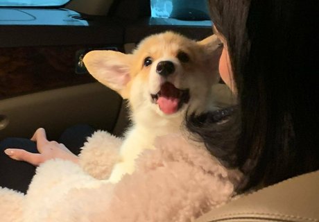 loona art model pictures