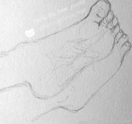 anya bear star art photo