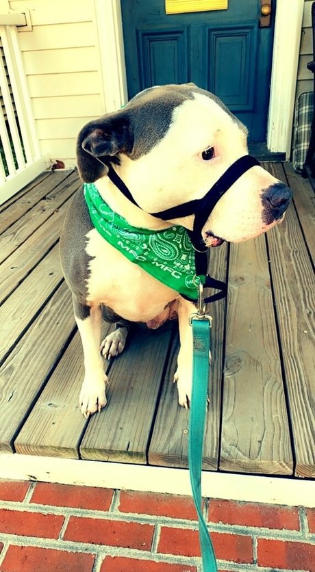 lovesickfordick model pornographic pic