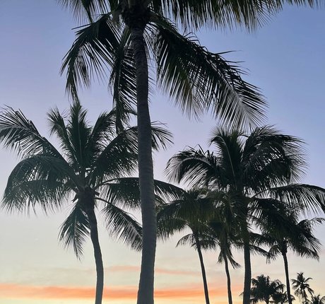 Leslie Sanchez xxx pornstar image