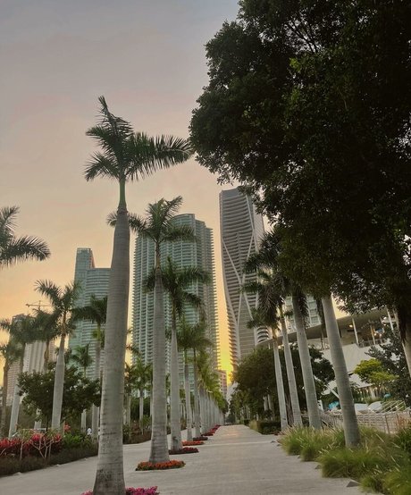 Leslie Sanchez star pretty picture