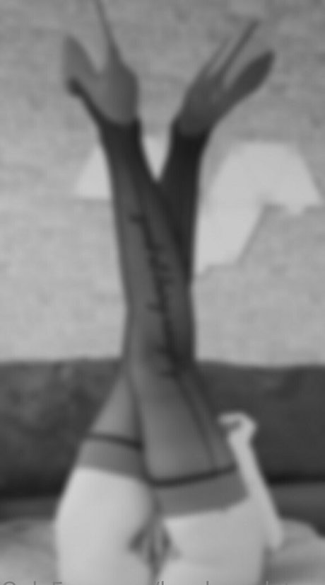 lenchen deluxe perfect model archive