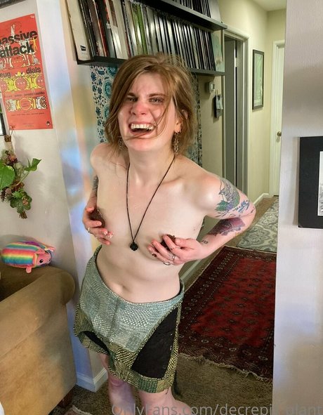 Decrepit plant model free photos