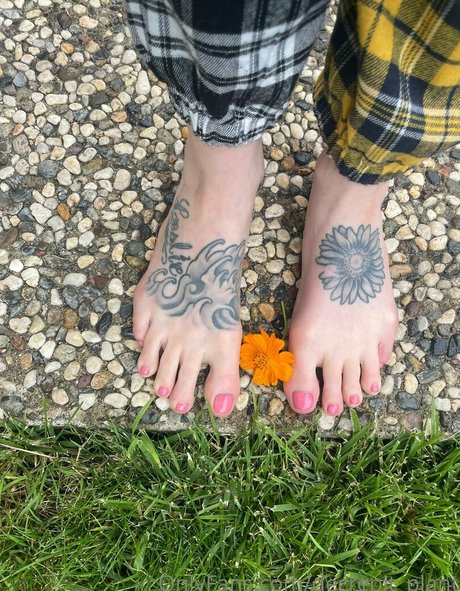 Decrepit plant nice star photo