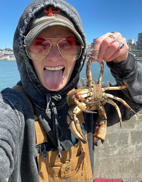 Decrepit plant star pretty img