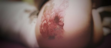 tvflavia sexy star gallery