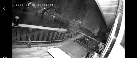 lavellkingentertainment pretty model photo