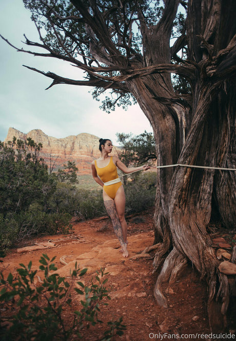 Reedsuicide star beautiful pictures