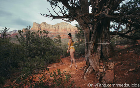 Reedsuicide pornstar nudes img