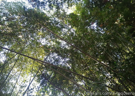 avliequeena model nice img