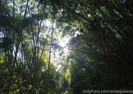 avliequeena exclusive star photos