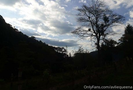 avliequeena sexy star img