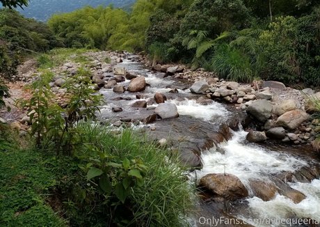 avliequeena sexy pornstar images