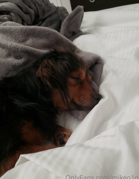 mikeo1o xxx star pic