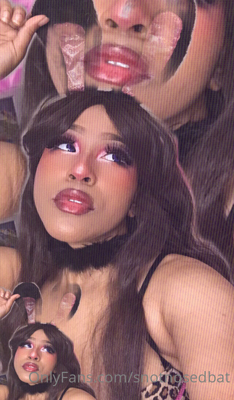 snotnosedbat star top galleries