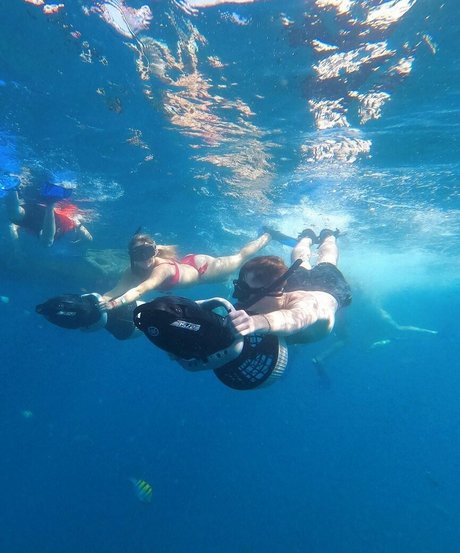 Brec Bassinger sex star img