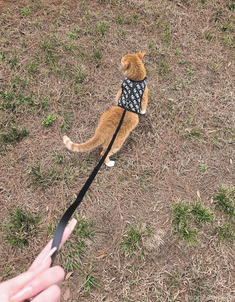 poppycarmine pornstar sex picture