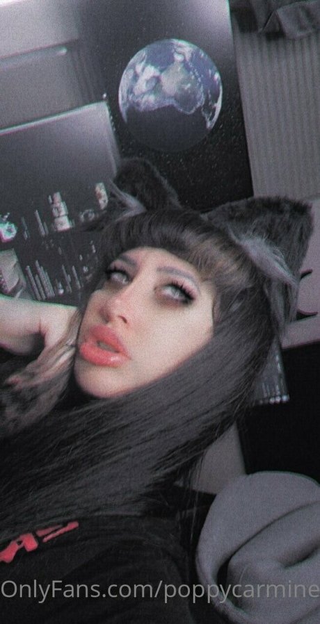 poppycarmine star adult image