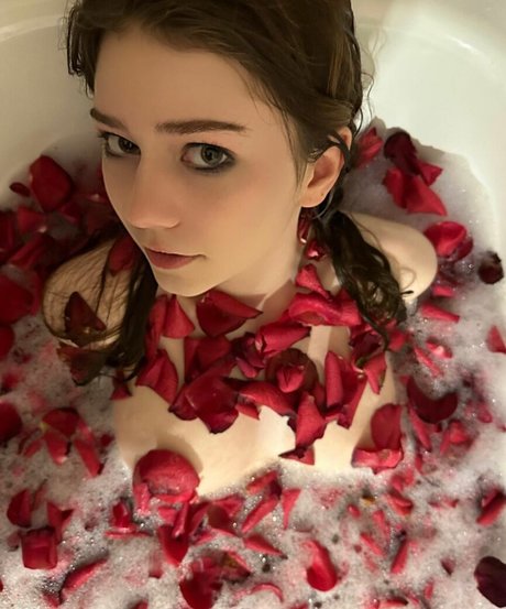 hdsonki high quality star pictures