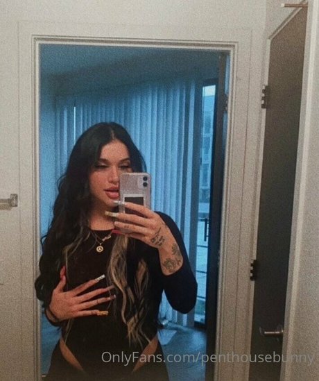 penthousebunny star nudes img