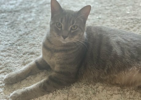 nyxiedust model nudes photo