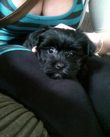 Katy Yardley star high quality pic