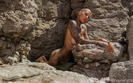 naywright high quality star archive