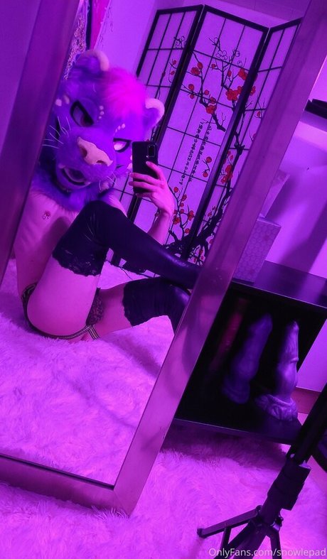 snowlepad star free galleries