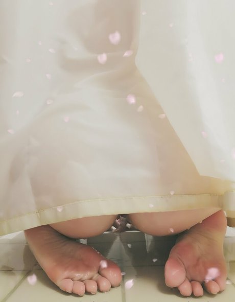 pynnksphynx star beautiful photo