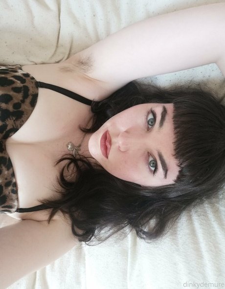 dinkydemure model top photo