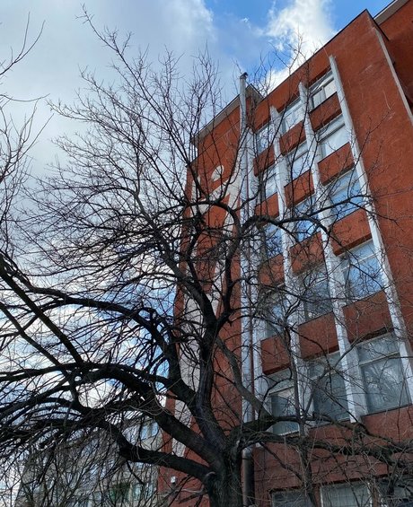 zhanna v star beautiful picture