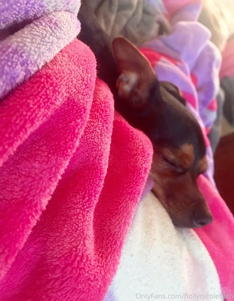 hollynicolebtch hd star gallery