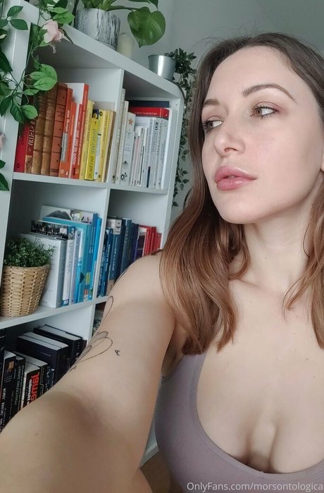 morsontologica star hd pic