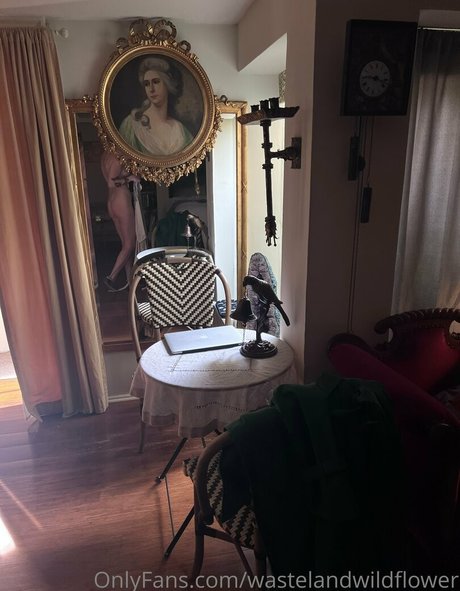 wastelandwildflower pornstar high quality pictures