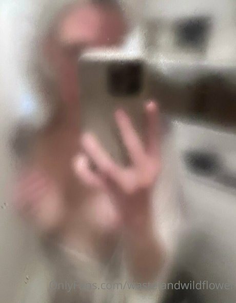 wastelandwildflower star pretty picture