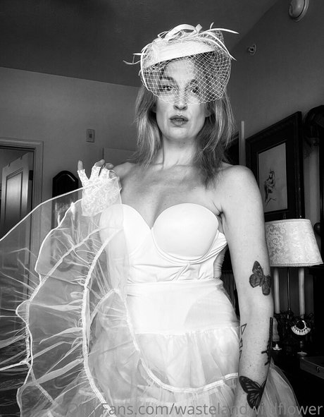 wastelandwildflower Profile pic