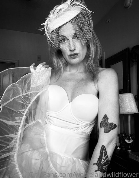 wastelandwildflower pornstar perfect archive