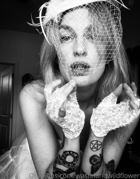 wastelandwildflower pornstar adult gallery