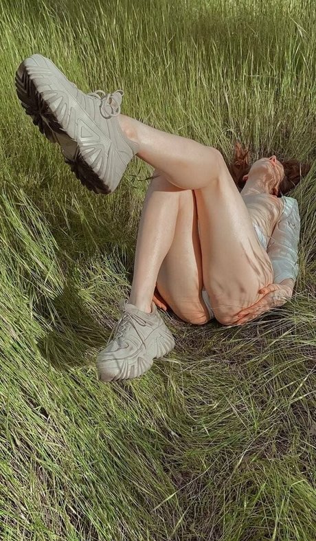 evaholiday high quality star galleries