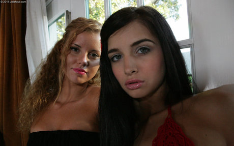 littlemutt model art images