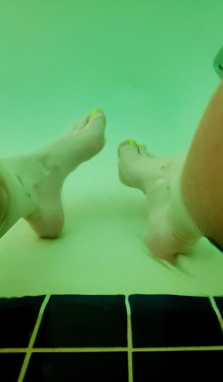 skyestone9 model top img