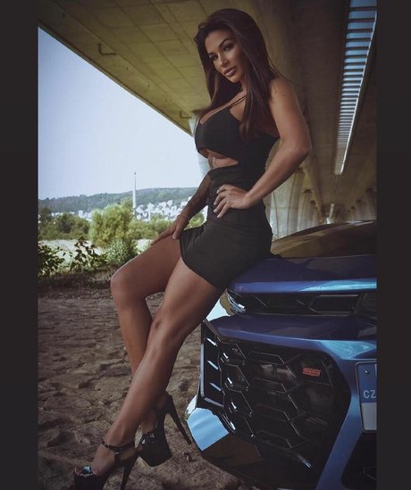 Adellino pornstar img