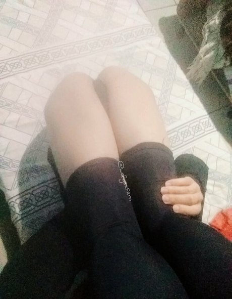 lofye star xxx archive