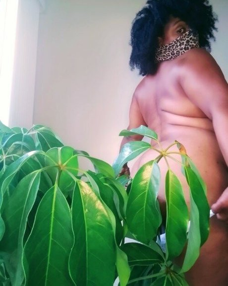 randiraige art actress archive