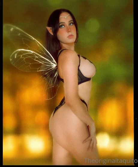 The Original Taquito nice star picture