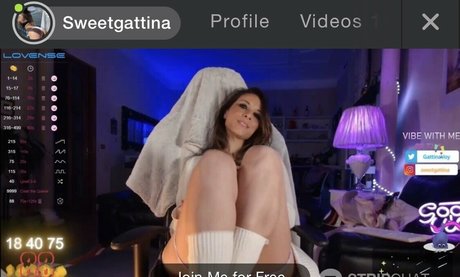 Gattinavoy perfect model gallery