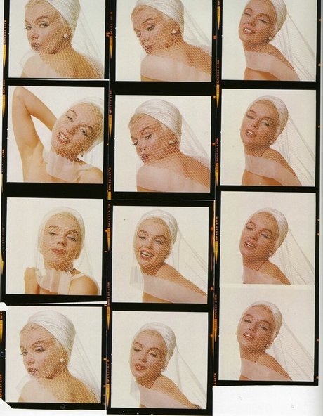 Marilyn Monroe nudes star galleries