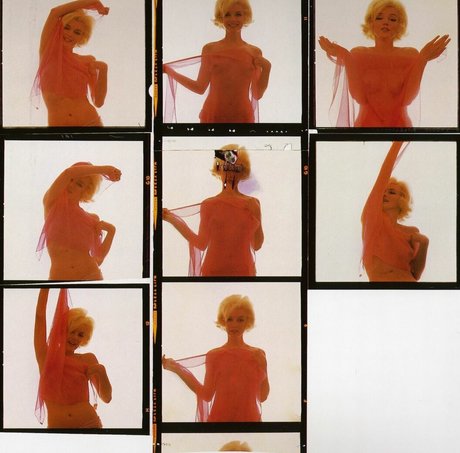 Marilyn Monroe high quality star galleries