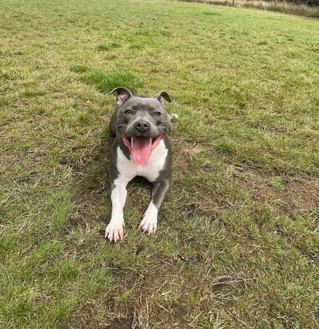 alexabrookexx pornstar xxx photos