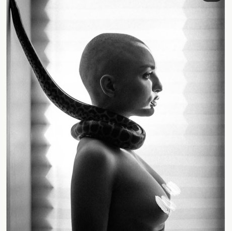 Pelageialynx nice star photo